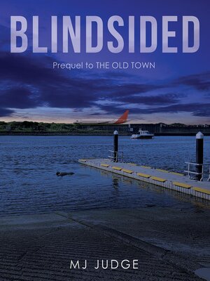 cover image of Blindsided